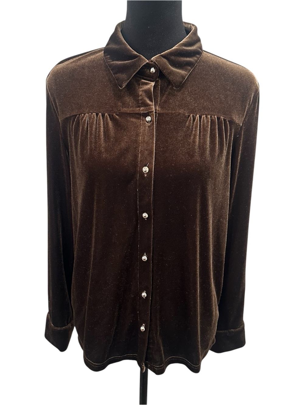 Brown Velvet Button Down Long Sleeve Top Womens Large Stretch Holiday Fall